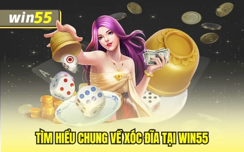 Xóc Đĩa Tại Win55 – Game Cược Đen Đỏ Chất Lượng Nhất