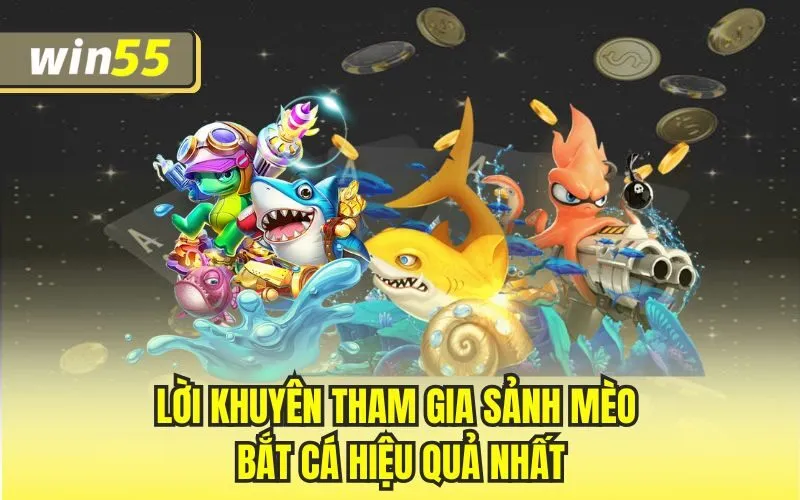 Lời khuyên tham gia sảnh mèo bắt cá hiệu quả nhất